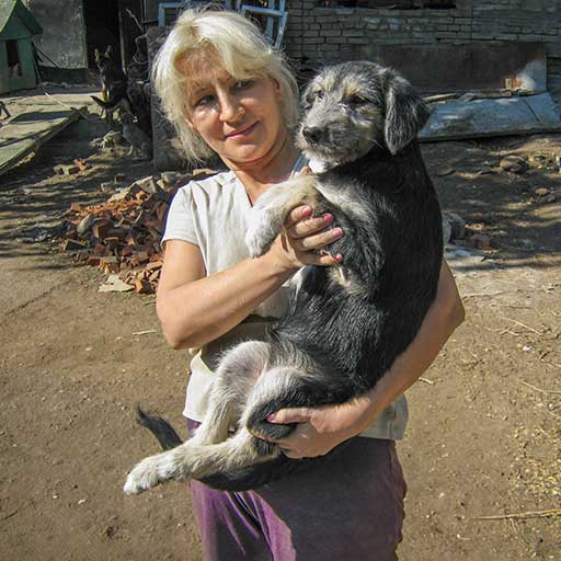 Добро пожаловать!